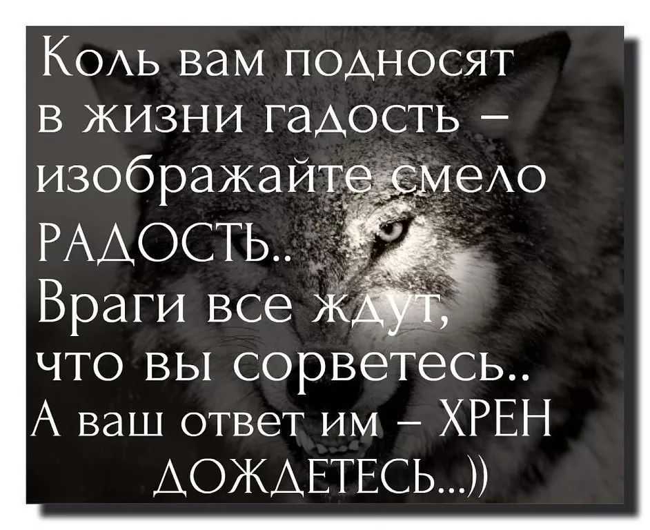 Афоризмы мудрецов и цитаты великих людей про врагов, вражду, зависть и предательство