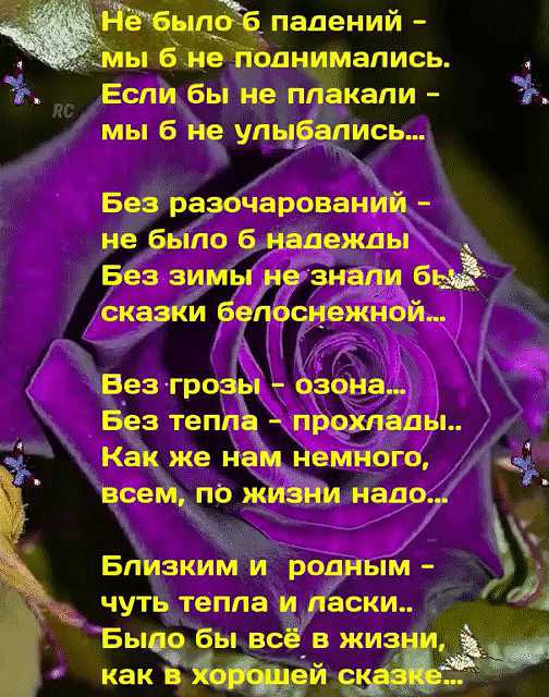 Смешные цитаты и афоризмы про любовь