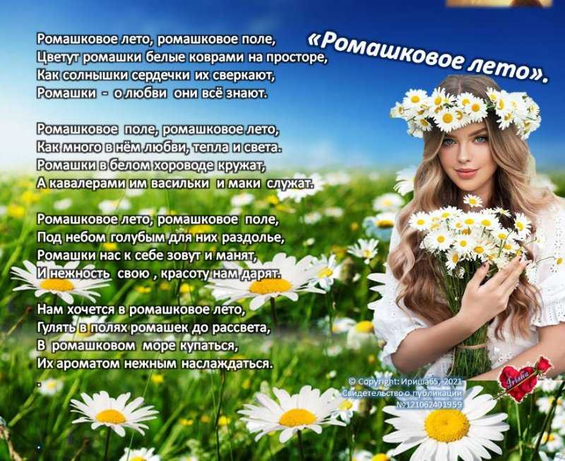 Kidsclever - развитие ребенка детский развивающий сайт. стихи для детей ромашка