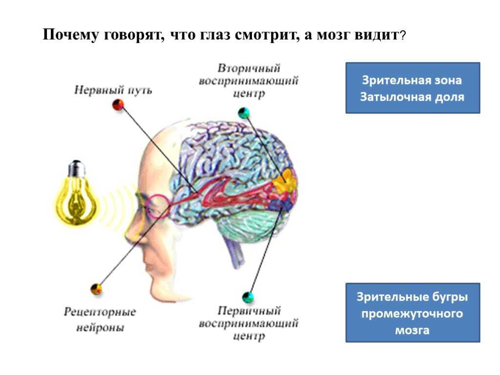 Статусы про взгляд