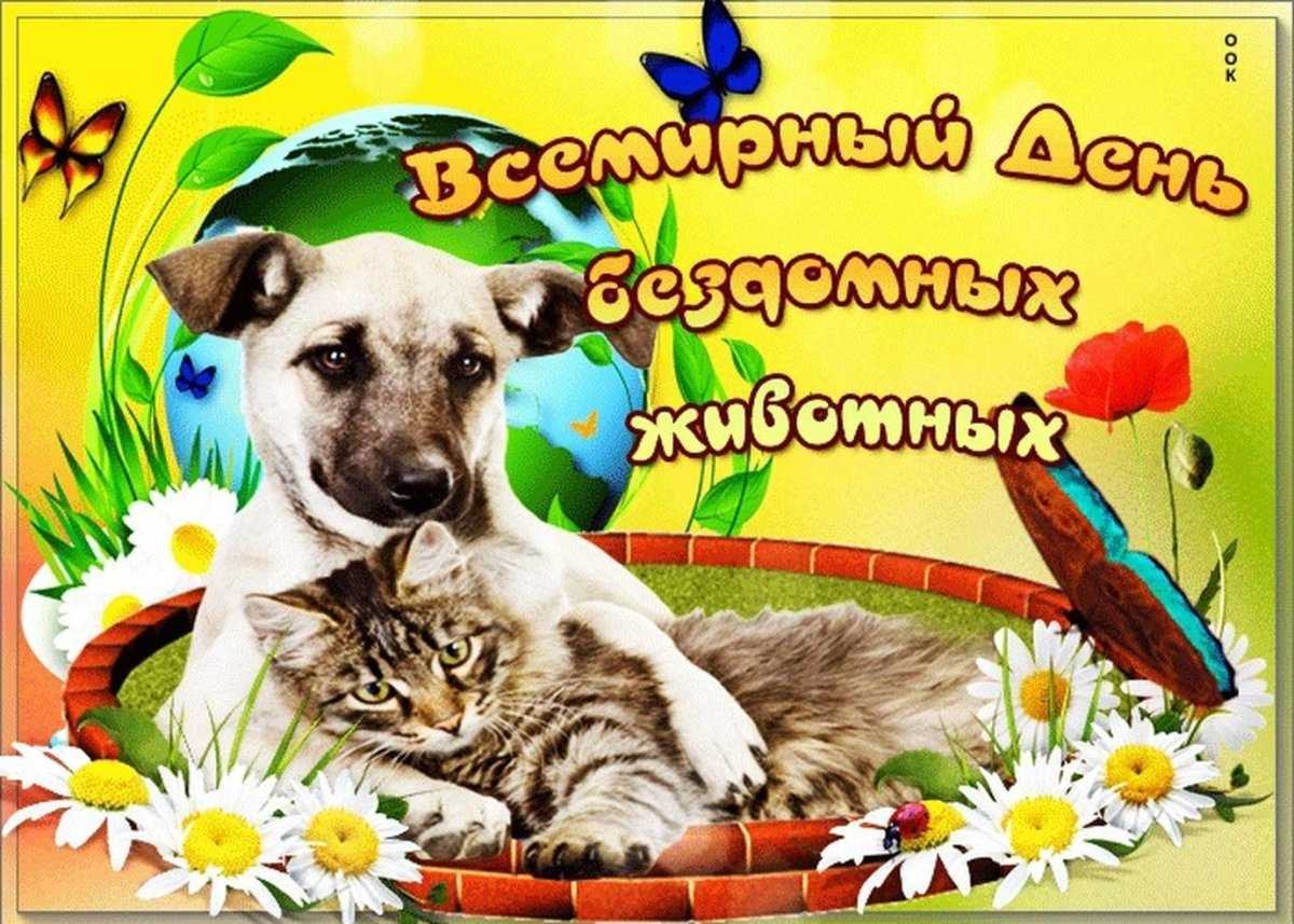 Стихи всемирный день защиты животных – стихи на всемирный день защиты животных