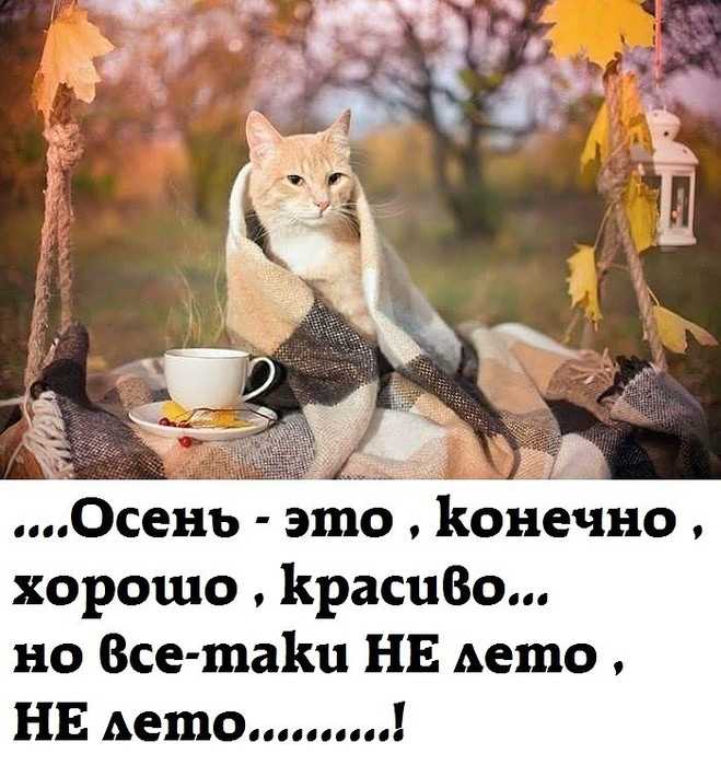 Минутка юмора! шутки про осень под конец осени))) - и разговоры обо всем!!! - страна мам