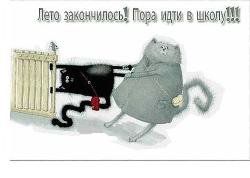 Смешные цитаты про школу, одноклассников, учебу