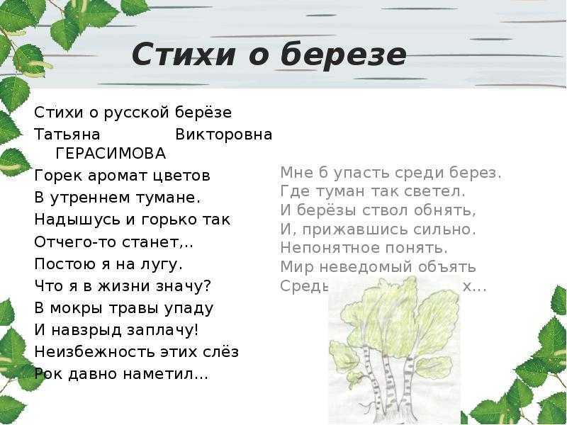 Стихи о берёзе детям