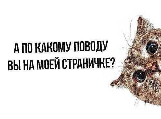 Статус для знакомства с девушкой. статусы про знакомства