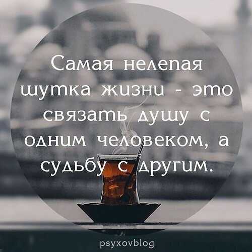 Они не могут друг без друга: подборка статусов про отношения мужчин и женщин