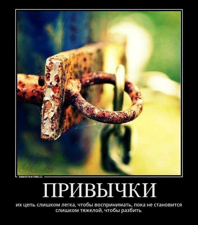 Статусы для социальных сетей, короткие высказывания, мудрые цитаты великих людей, а также фразы и мысли от пользователей сайта про привычки