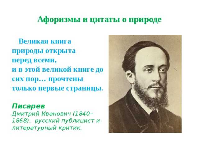 Избранные цитаты Михаила Пришвина про природу