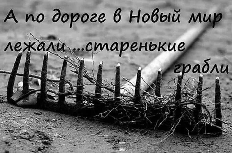 Статусы со смыслом