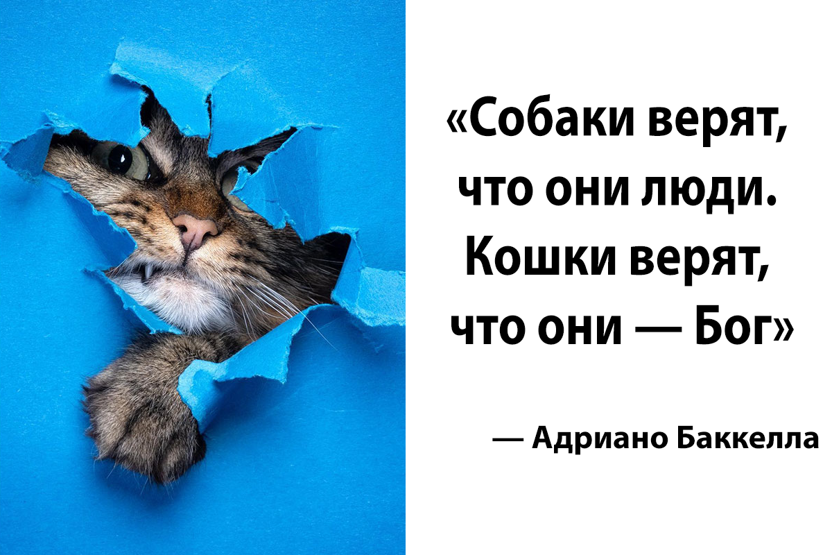 23 утешительных цитаты о смерти и загробной жизни