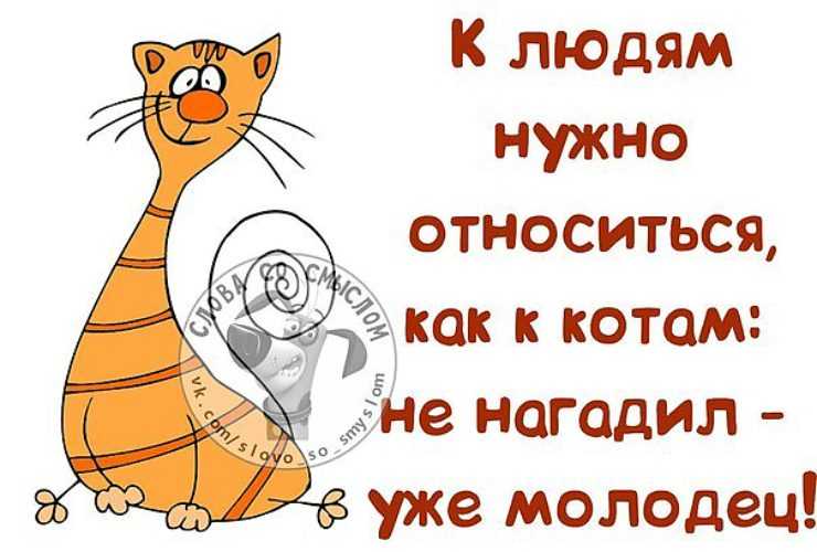 Позитивные жизнеутверждающие высказывания на каждый день: фразы со смыслом и ободряющие мотиваторы