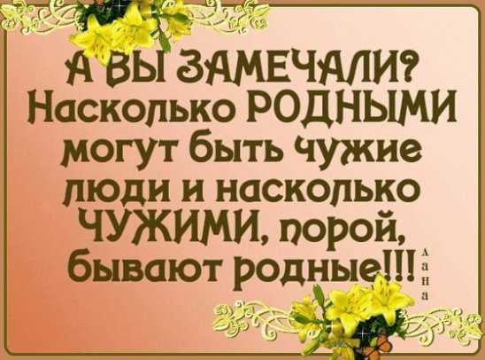 Цитаты про семью — мудрые слова о семейных ценностях