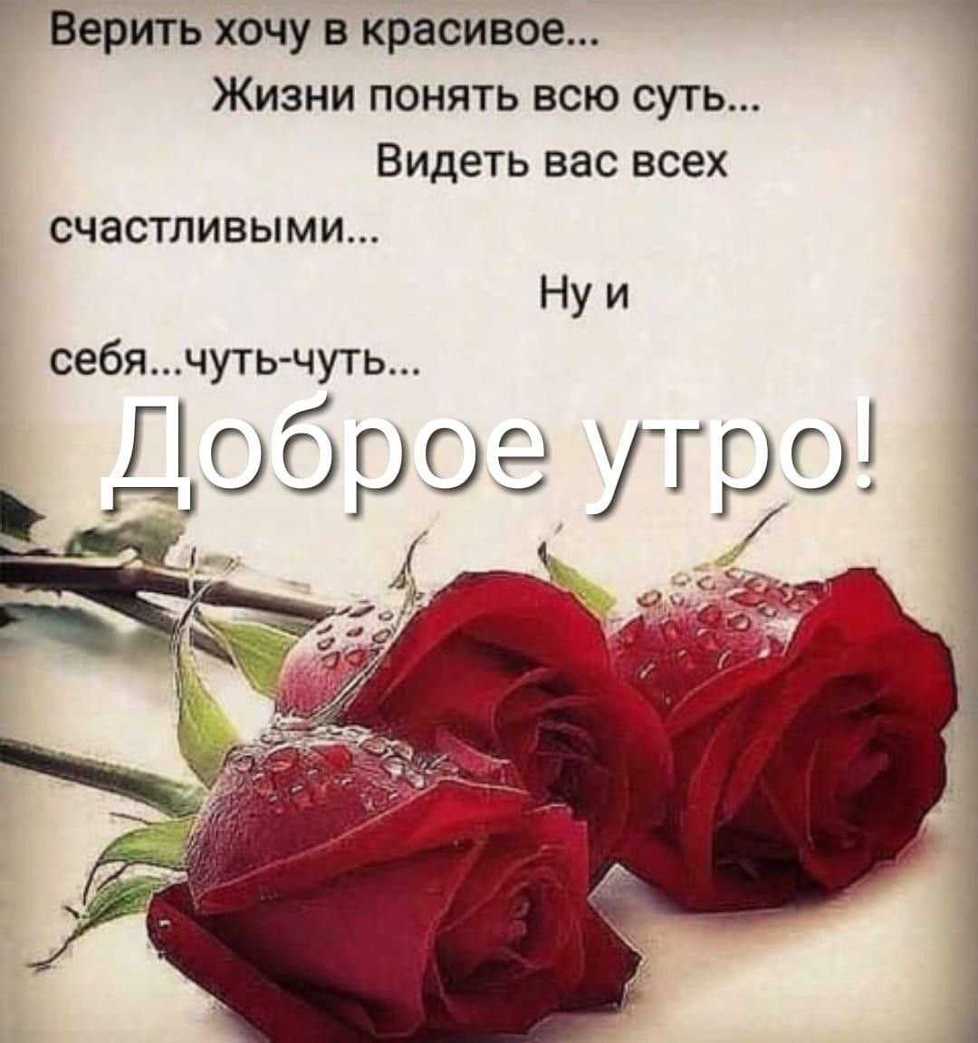 Цитаты и статусы про утро (прикольные, про доброе утро, кофе, смешные и др)