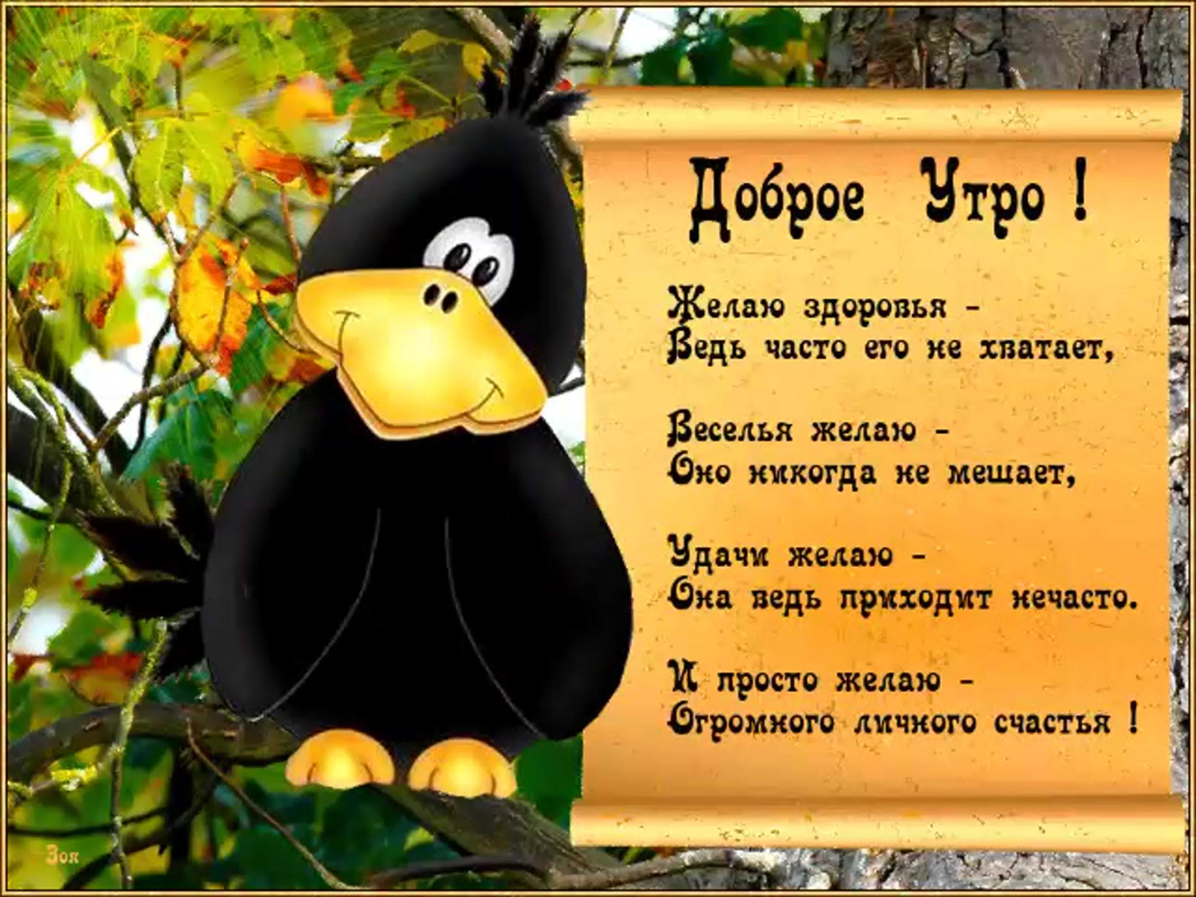 Пожелания с добрым утром девушке короткие