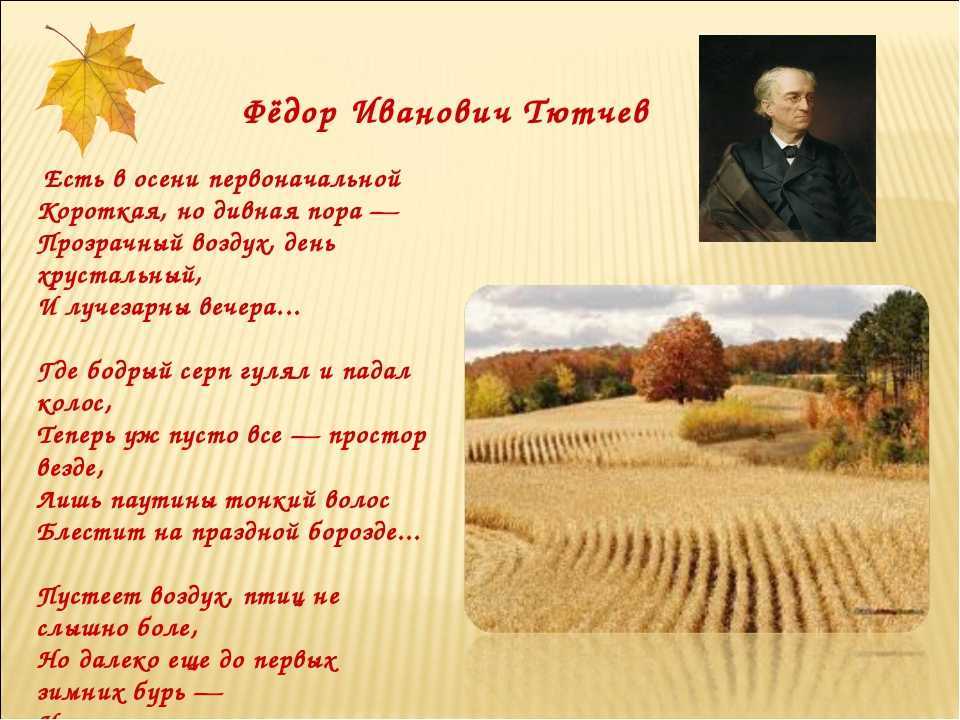 Осень - время стихов... - пробиблиотеку