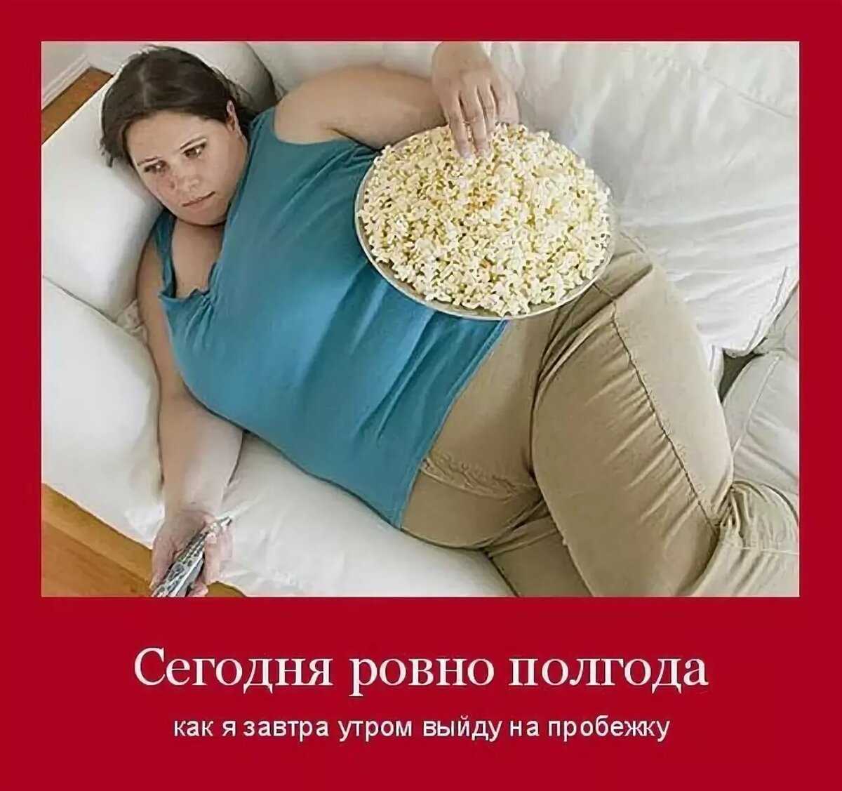 Смешные статусы про диету — жизненные статусы