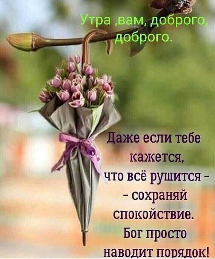 95 духовных цитат о внутреннем мире и любви