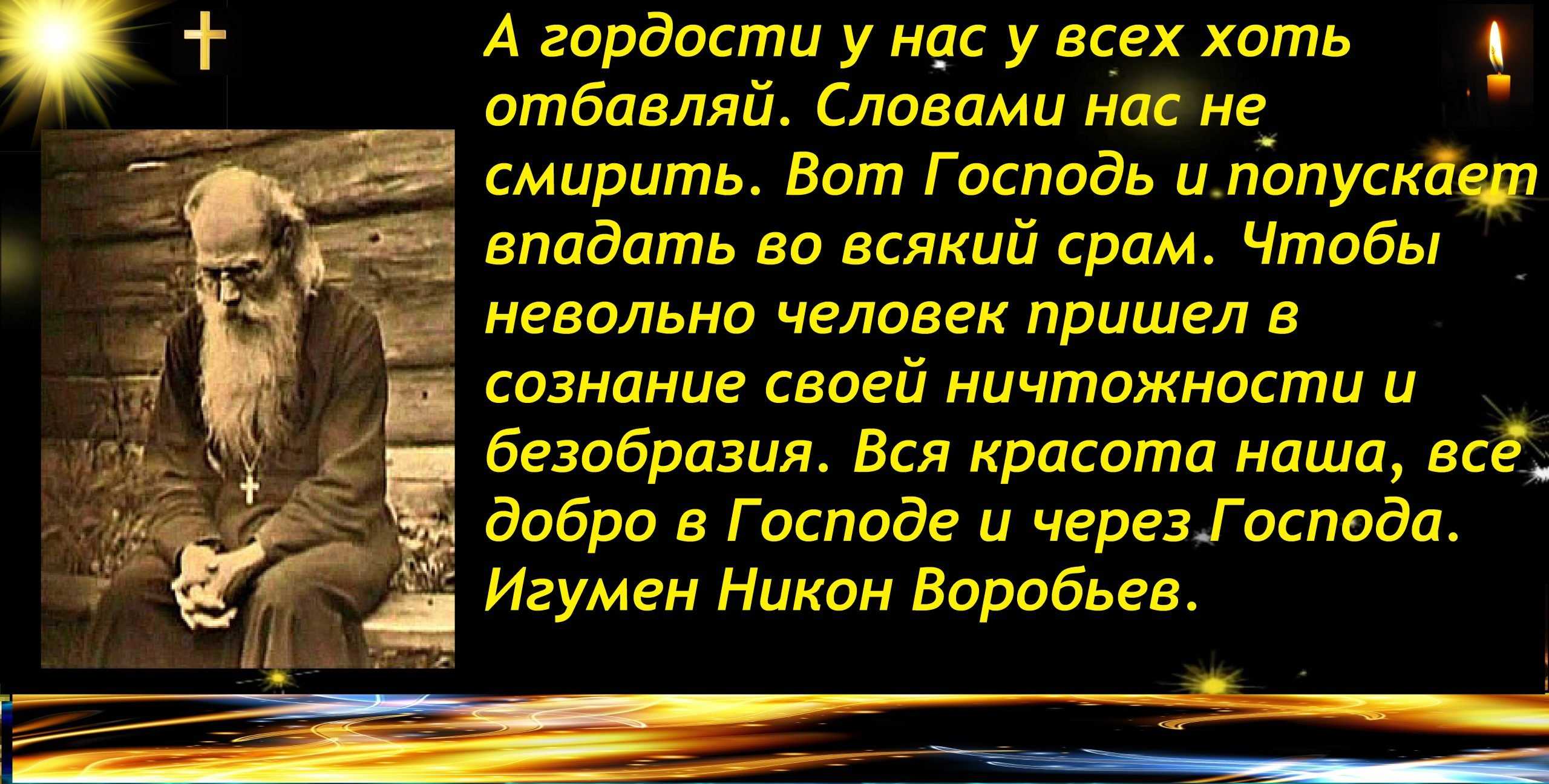 Афоризмы   про умных людей