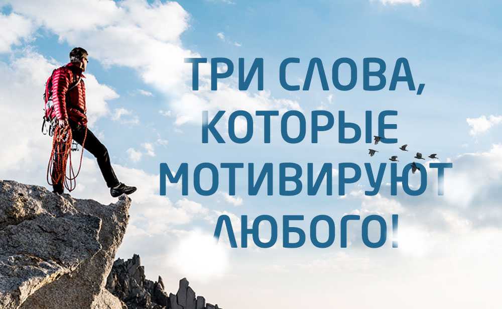 Требования и пожелания к работе + примеры 2023 - как написать пожелания к новому месту работы