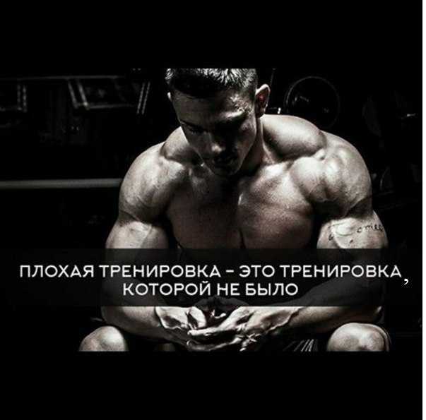 Топ-50 вдохновляющих цитат о спорте для детей - the money © - официальный источник денег и нетворта № 1