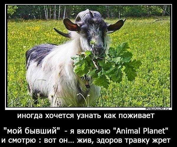 50 лучших цитат про учителей