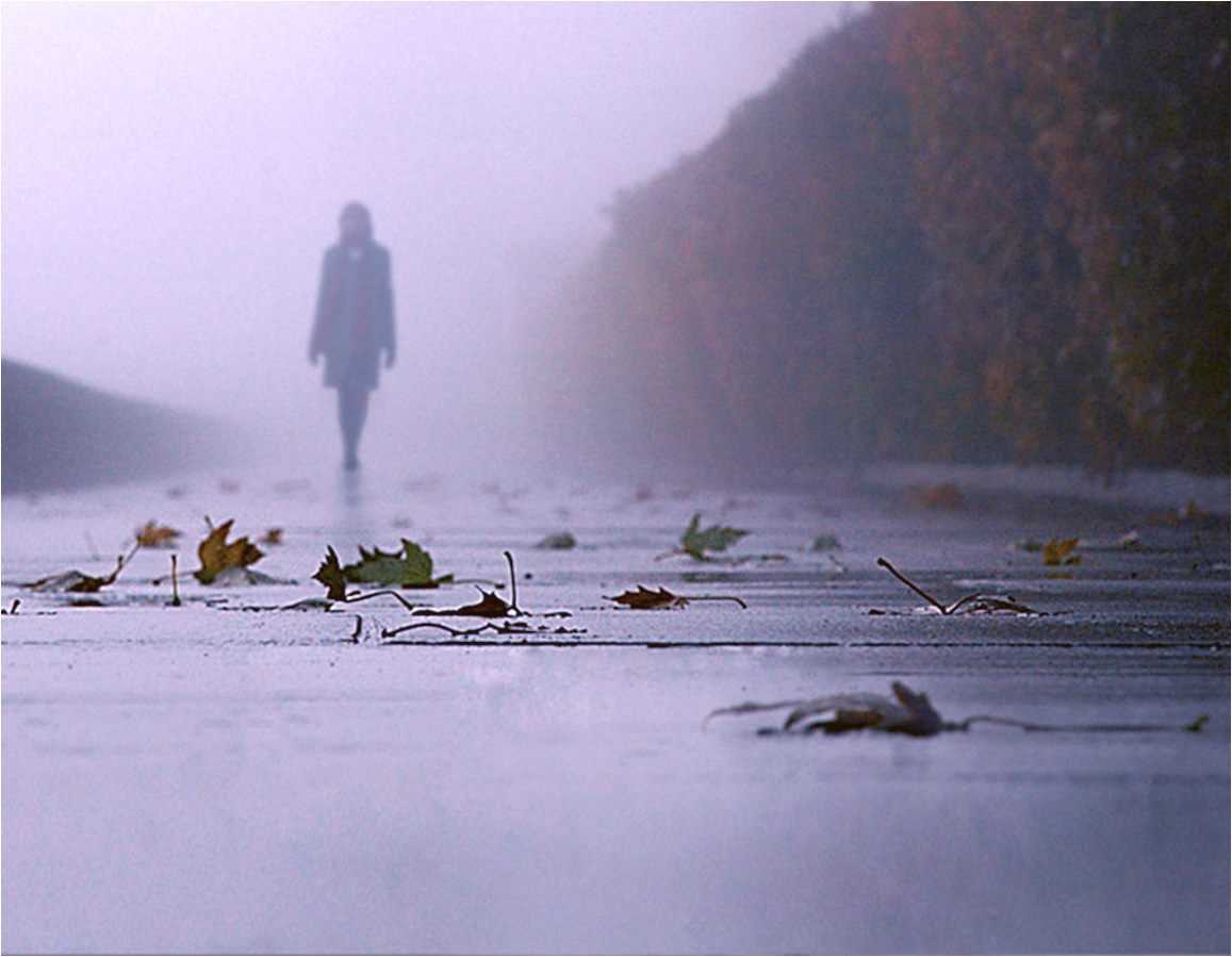 "твоё молчание..." - литература - стихи