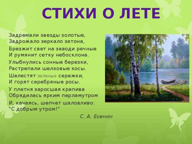 Стихи про лето для детей 7-8 лет для заучивания наизусть