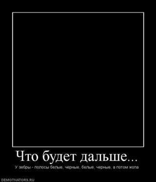 Чёрно-белая жизнь