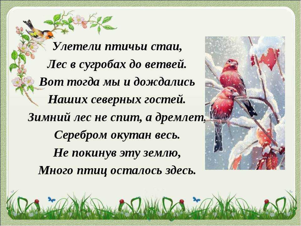 Детские стихи про птиц - подборка стихов про птиц для детей