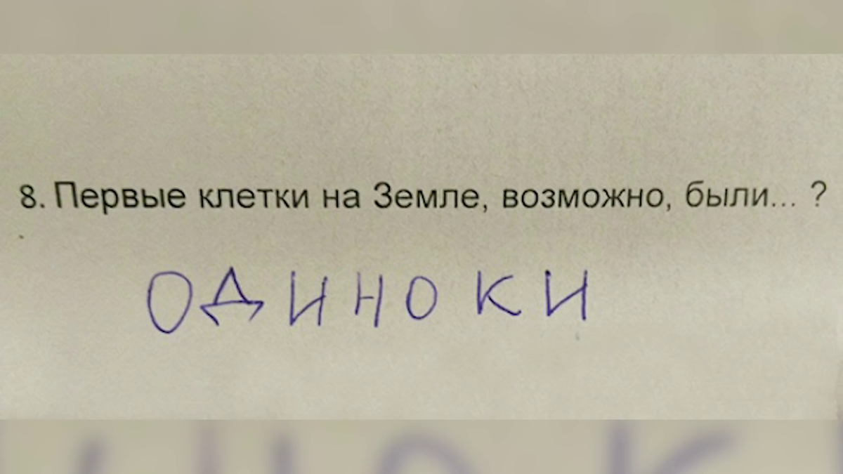 Смешные истории, прикольные высказывания, шутки и анекдоты про любовь, отношения между влюбленными и разочарованными