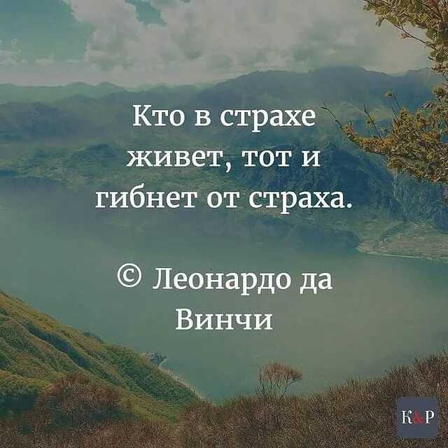 Высказывания о свободе человека со смыслом — короткие цитаты великих людей