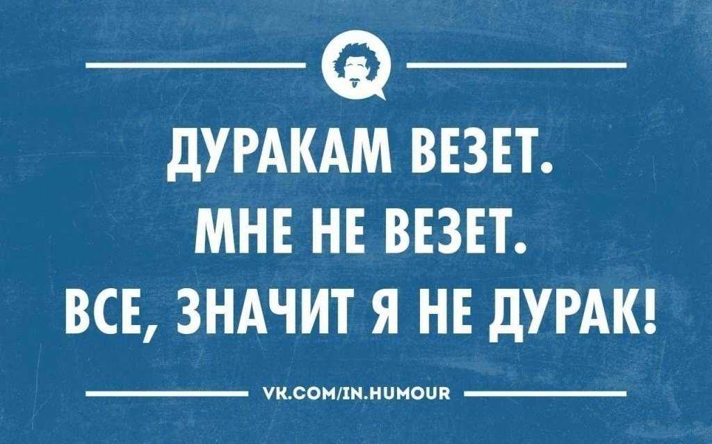 Подборка статусов, афоризмов и высказываний о дураках