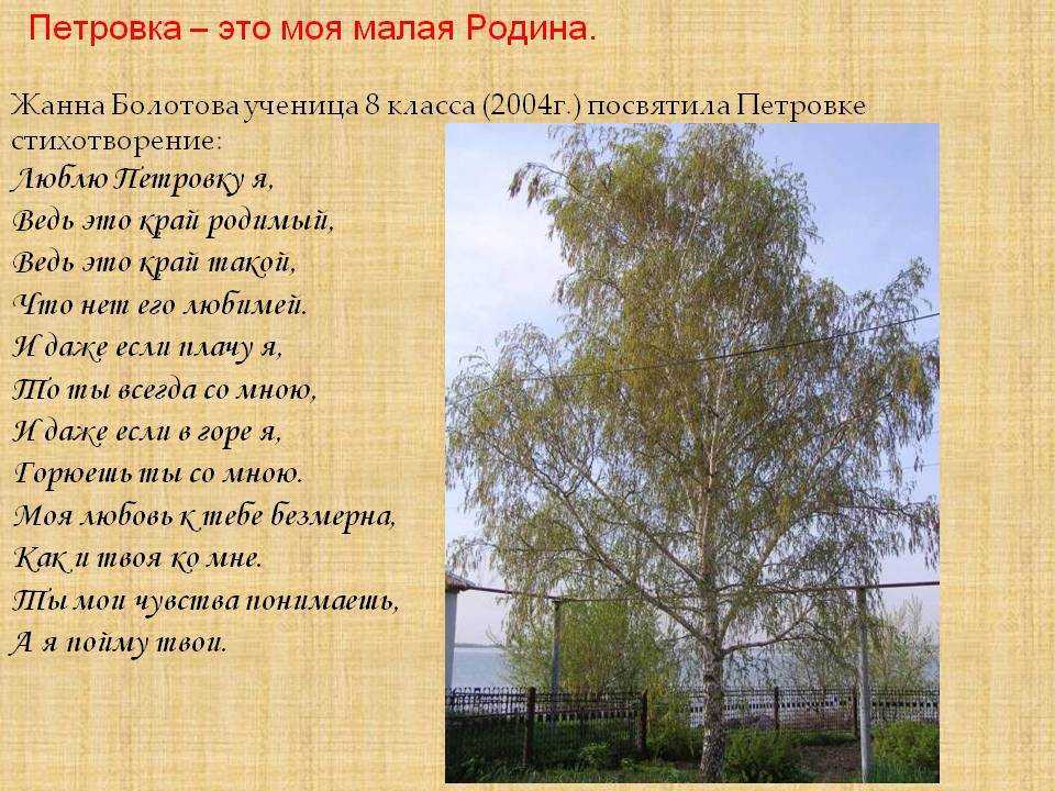 Избранные стихи Светланы Комогорцевой про деревню