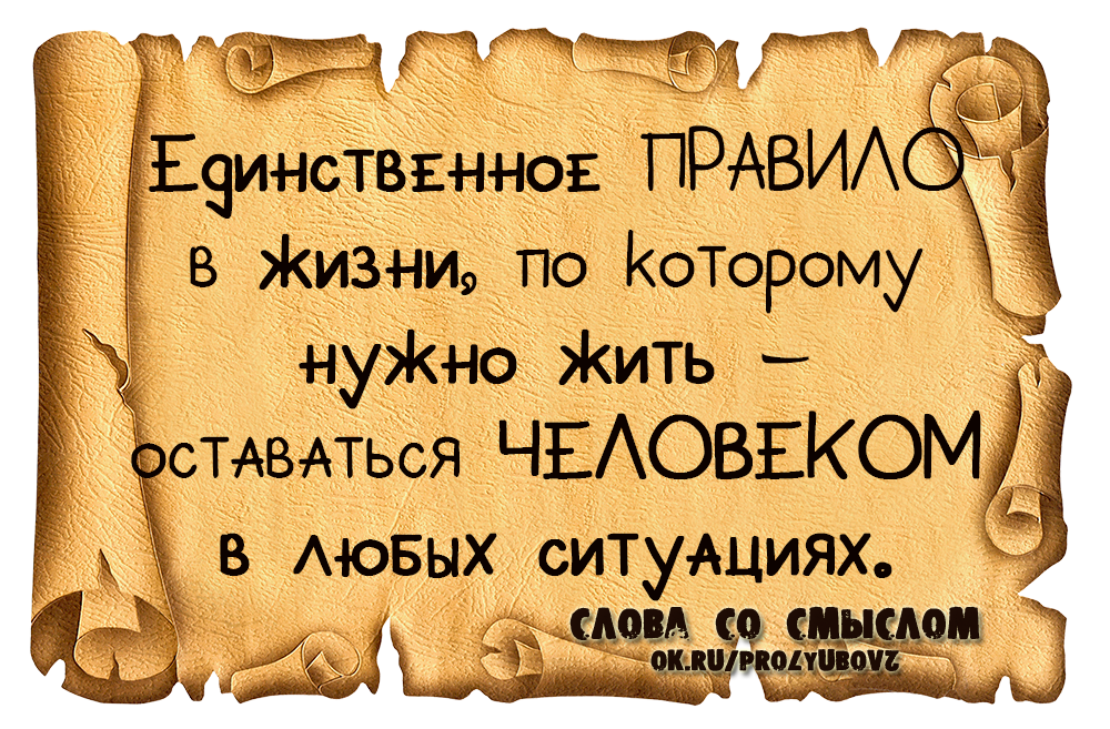 Статус назло врагам все хорошо. статусы про врагов. серьезные и прикольные статусы про врагов и завистников