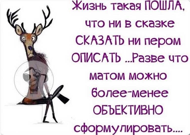 Статусы для ватсапа: короткие со смыслом, смешные и прикольные, интересные, оригинальные и жизненные, что можно написать в сведениях парням и девушкам