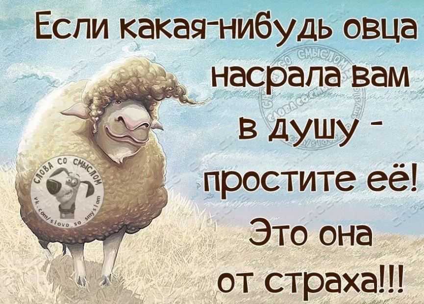 Картинки одноклассники прикольные (266 фото)
картинки одноклассники прикольные — картинки по интересам