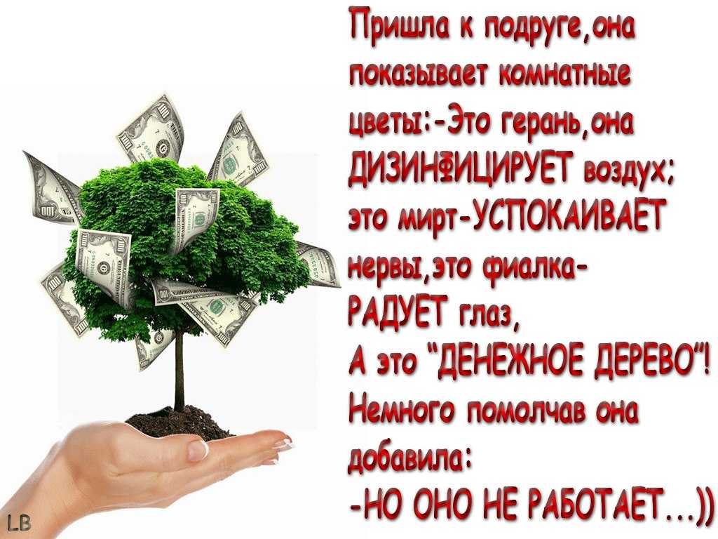 Афоризмы на английском языке: фразы о жизни, успехе, природе, учебе