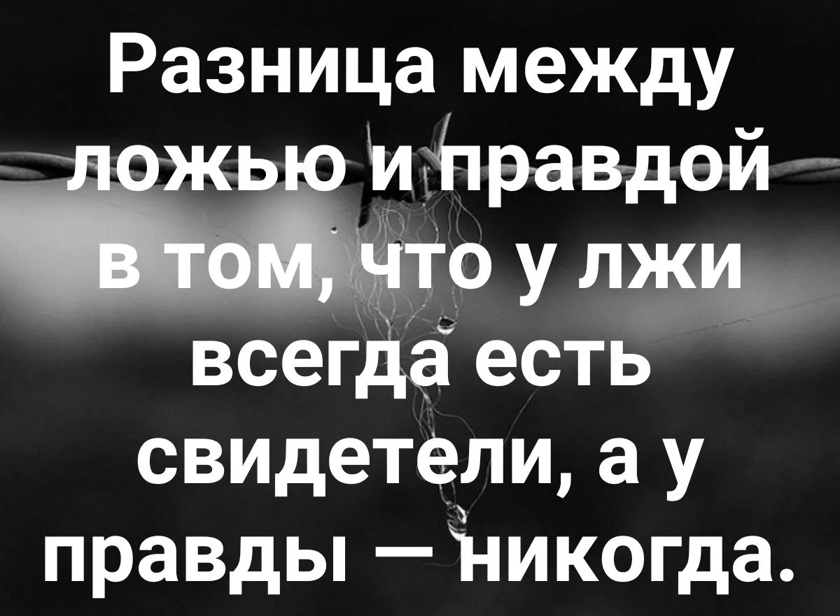 Жизненные цитаты о смысле жизни и любви для статусов: высказывания и красивые фразы