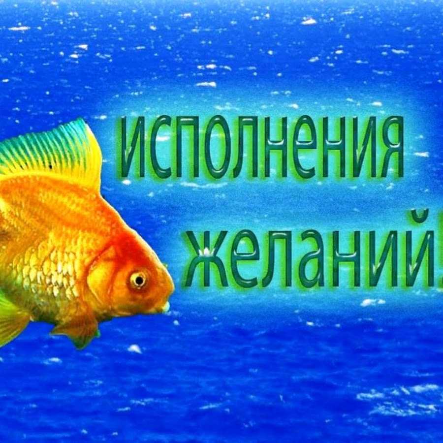 Стихи мечты желания - сборник красивых стихов в доме солнца