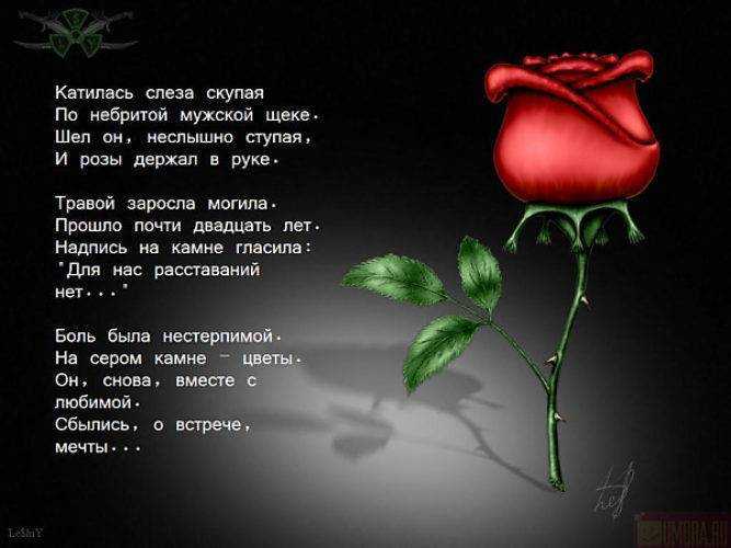 Стихи про любовь классиков и известных поэтов — к мужчине на расстоянии трогательные до слез, красивые для девушки и парня. лучшие короткие стихи про любовь — короткие, трогающие до глубины души
