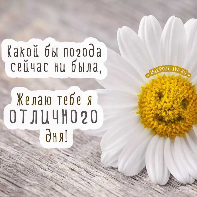 327 цитат про осень