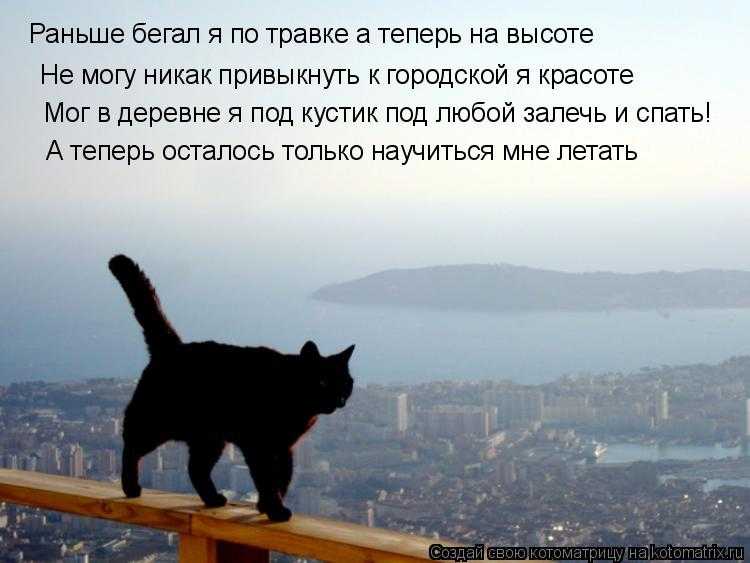 По уши влюблены и в полном ужасе: откуда берутся страхи в отношениях — нож