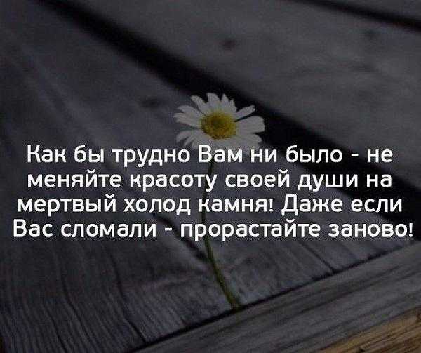 133 грустные цитаты со смыслом о жизни, любви и дружбе - mental sky