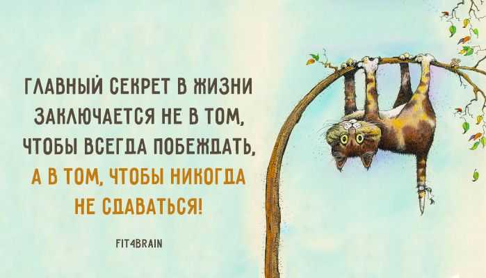 100 лучших цитат и одиноких высказываний - жизнь - 2023