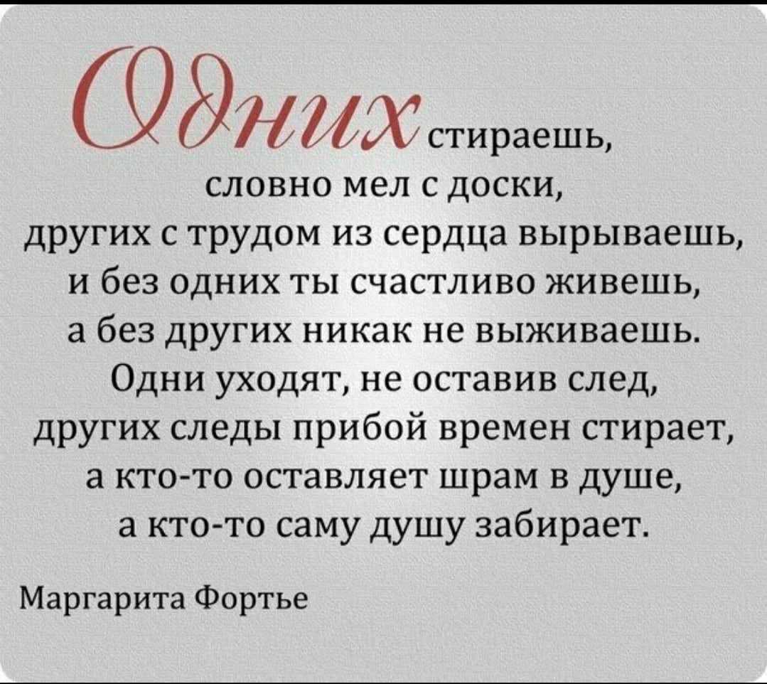 Прикольные стихи - сборник красивых стихов в доме солнца