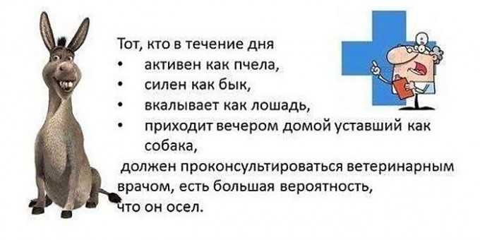 Анекдоты из россии