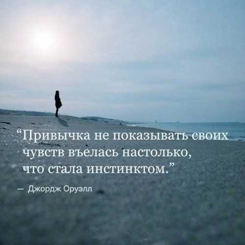 Мысли о чувствах и эмоциях к девушке. афоризмы, цитаты, высказывания великих людей на тему чувство