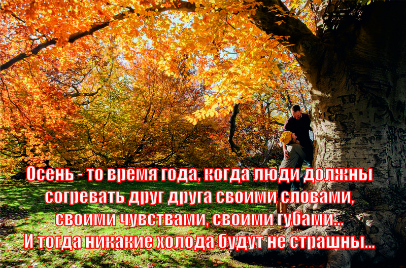 Красивые цитаты про осень
