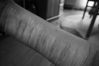 Тексты шоу «плохие песни»
