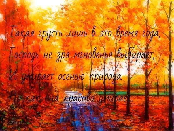 Миллионы женщин любят осень… цитаты и афоризмы про осень и любовь